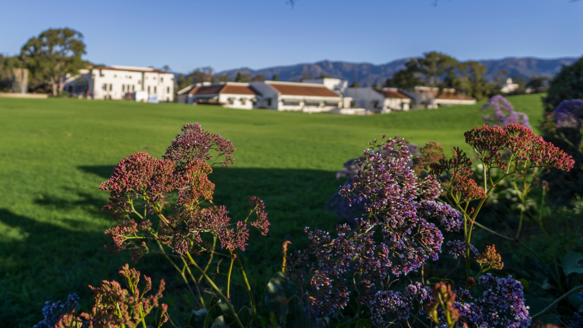 Plants and West Campus